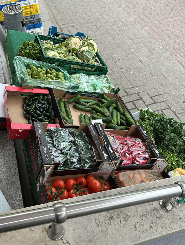 Auf einem Tisch liegen frisches Gemüse wie Tomaten, Gurken, Paprika und Blattgemüse in Kisten.